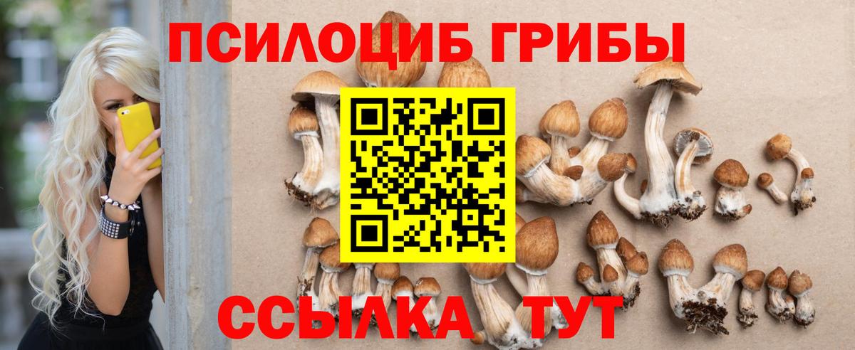 Дедовск  наркотики  Вход с VPN  Галлюциногенные грибы мухоморы 
